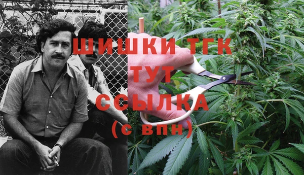 бутират Вяземский