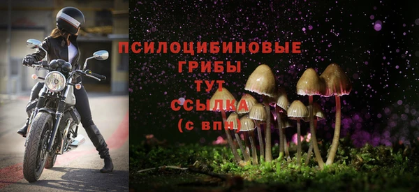 a pvp Вязьма